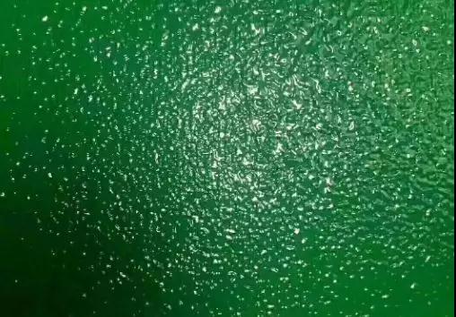 平涂水性环氧地坪出现桔纹的原因是什么？